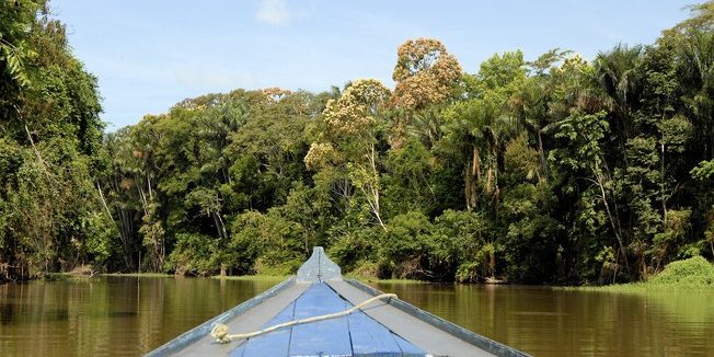 amazonia turismo