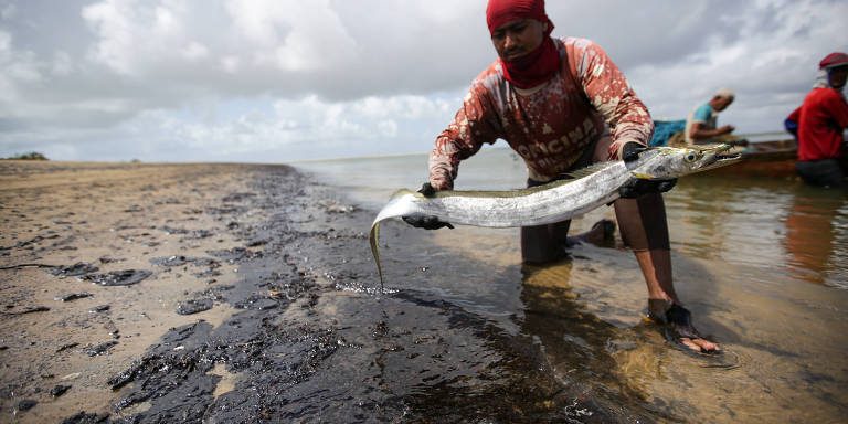 CPI do Óleo vai avaliar impactos no turismo e na pesca